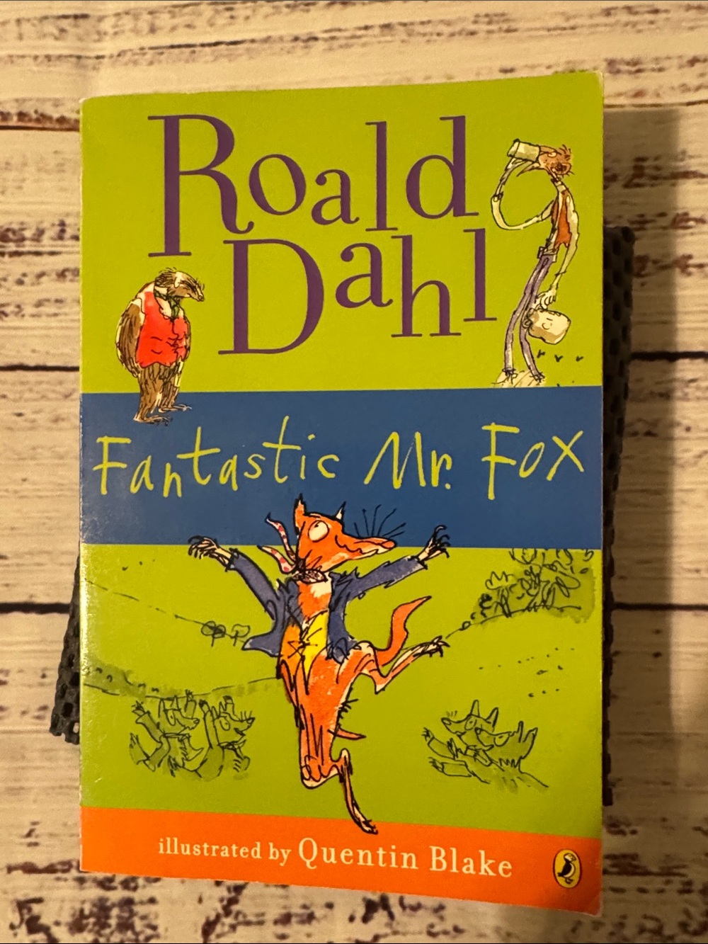 Roald Dahl Nobody Outfoxes Fantastic Mr. Fox! - Green